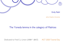 The Yoneda Lemma in the Category of Matrices