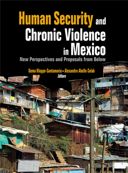 Human Security and Chronic Violence in Mexico New Perspectives and Proposals from Below