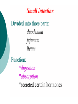 5.Small Intestine