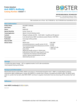 Datasheet A06887-1 Anti-MIEF1 Antibody