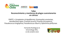 Taller Reconocimiento Y Monitoreo De Plagas Cuarentenarias En Cítricos