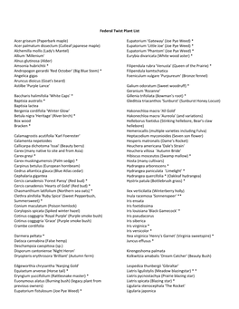 Federal Twist Plant List Acer Griseum