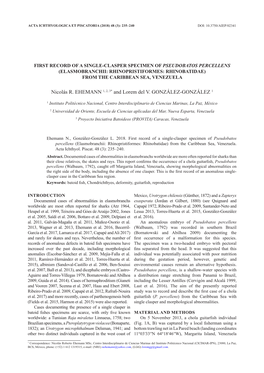 First Record of a Single-Clasper Specimen of Pseudobatos Percellens (Elasmobranchii: Rhinopristiformes: Rhinobatidae) from the Caribbean Sea, Venezuela