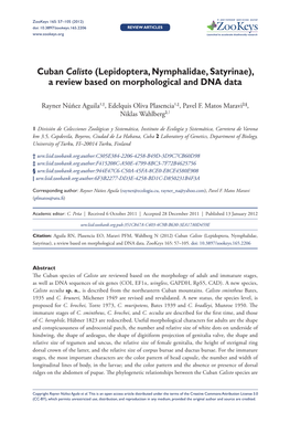 Cuban Calisto (Lepidoptera, Nymphalidae, Satyrinae), a Review Based on Morphological and DNA Data