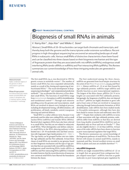Biogenesis of Small Rnas in Animals