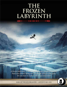 The Frozen Labyrinth