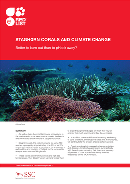 Staghorn Corals and Climate Change