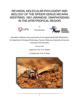Revision, Molecular Phylogeny and Biology of the Spider Genus Micaria Westring, 1851 (Araneae: Gnaphosidae) in the Afrotropical Region