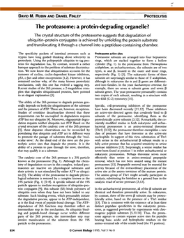 The Proteasome: a Protein-Degrading Organelle?