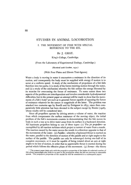 Studies in Animal Locomotion I
