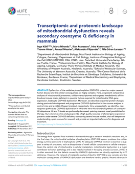 Transcriptomic and Proteomic Landscape of Mitochondrial