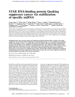 STAR RNA-Binding Protein Quaking Suppresses Cancer Via Stabilization of Specific Mirna