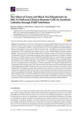 The Effect of Green and Black Tea Polyphenols on BRCA2 Deficient