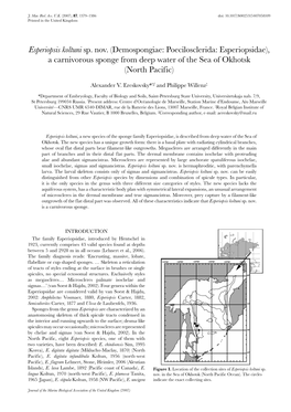 Demospongiae: Poecilosclerida: Esperiopsidae), a Carnivorous Sponge from Deep Water of the Sea of Okhotsk (North Pacific)