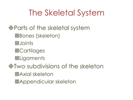 The Skeletal System