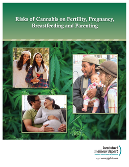 Risks of Cannabis on Fertility, Pregnancy, Breastfeeding And