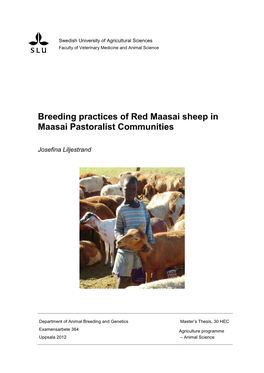 Breeding Practices of Red Maasai Sheep in Maasai Pastoralist Communities
