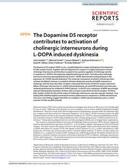 The Dopamine D5 Receptor Contributes to Activation Of