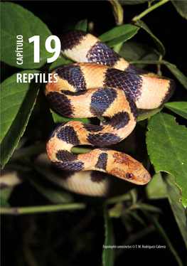 REPTILES CAPÍTULO 19 Tropidophis © Semicinctus T