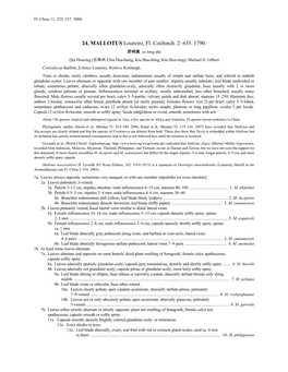 24. MALLOTUS Loureiro, Fl. Cochinch. 2: 635. 1790. 野桐属 Ye Tong Shu Qiu Huaxing (丘华兴 Chiu Hua-Hsing, Kiu Hua-Shing, Kiu Hua-Xing); Michael G