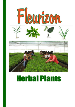 Herbal Plant Catalog Fleurizon