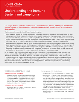 Understanding the Immune System and Lymphoma