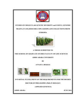 STUDIES on MOLECULAR GENETIC DIVERSITY and USEFUL GENOMIC TRAITS of YAM ( DIOSCOREA SPP) GERMPLASM COLLECTIONS from ETHIOPIA