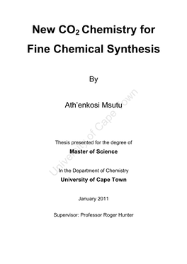 New CO2 Chemistry for Fine Chemical Synthesis