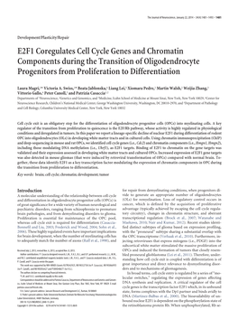 E2F1 Coregulates Cell Cycle Genes and Chromatin Components During the Transition of Oligodendrocyte Progenitors from Proliferation to Differentiation