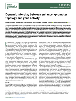 Dynamic Interplay Between Enhancer–Promoter Topology and Gene Activity