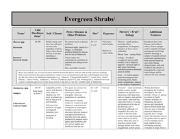 Evergreen Shrubs Part2