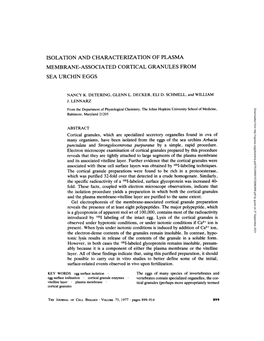 Punctulata and Strongylocentrotus Purpuratus by a Simple, Rapid Procedure