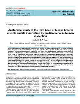 Anatomical Study of the Third Head of Biceps Brachii Muscle and Its Innervation by Median Nerve in Human Dissection