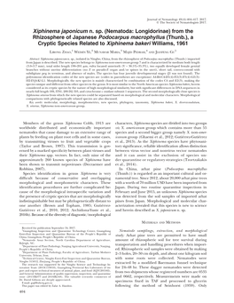 Xiphinema Japonicum N. Sp. (Nematoda: Longidorinae) from the Rhizosphere of Japanese Podocarpus Macrophyllus (Thunb.), a Cryptic