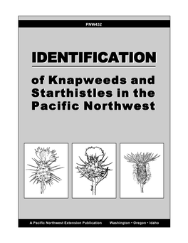 Identification of Knapweeds and Starthistles