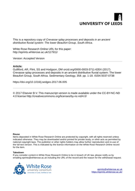 Crevasse Splay Processes and Deposits in an Ancient Distributive Fluvial System: the Lower Beaufort Group, South Africa