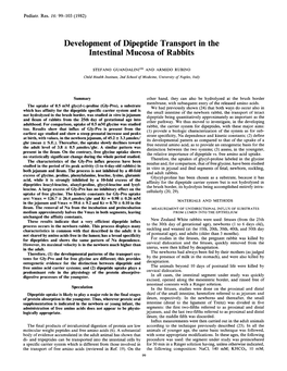 Development of Dipeptide Transport in the Intestinal Mucosa of Rabbits