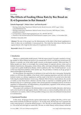 The Effects of Feeding Obese Rats by Bee Bread on IL-6 Expression in Rat Stomach †