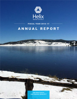 Annual Report 2016-17