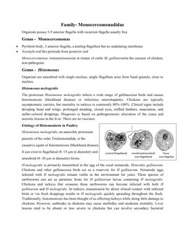 Family- Monocercomonadidae