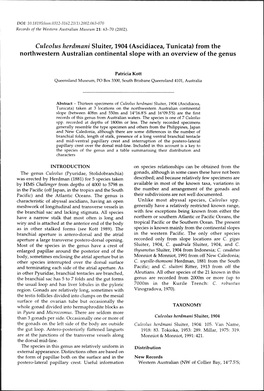 Culeolus Herdmani Sluiter, 1904 (Ascidiacea, Tunicata) from the Northwestern Australian Continental Slope with an Overview of the Genus