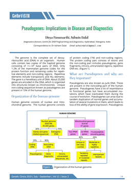 Pseudogenes: Implications in Disease and Diagnostics