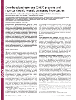 (DHEA) Prevents and Reverses Chronic Hypoxic Pulmonary Hypertension