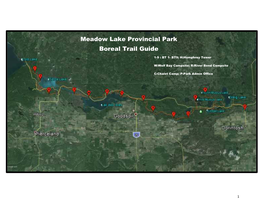 Meadow Lake Provincial Park Boreal Trail Guide