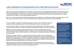 Long-Term Benefits from Research Into Streptomyces Bacteria