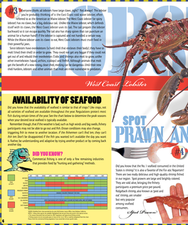 West Coast Lobster (Or Spiny Lobster) Has No Claws, but a Big, Delicious Tail