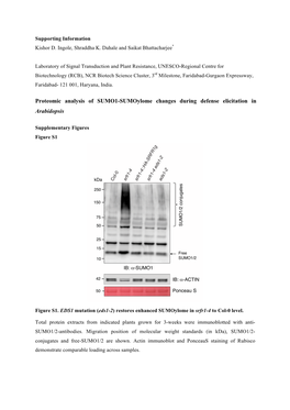 Proteomic Analysis of SUMO1-Sumoylome Changes During Defense Elicitation in Arabidopsis