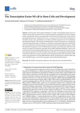 The Transcription Factor NF-Κb in Stem Cells and Development