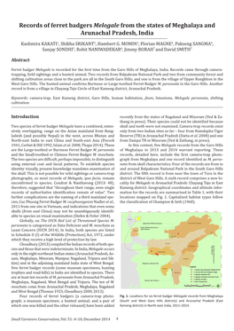 Records of Ferret Badgers Melogale from the States of Meghalaya and Arunachal Pradesh, India