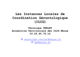 Les Instances Locales De Coordination Gérontologique (ILCG)
